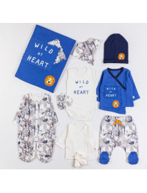 IMAGE BOY 0-3 MONTHS LION 10 PIECE SET 1028