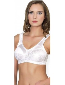 Moonlight 10527 Minimizer