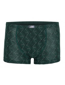 İlke Patterned Modal Boxer (BigSize) 1616