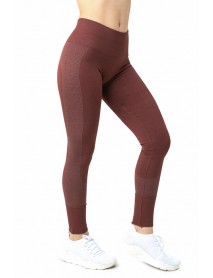 Gigotto Seamless Tights Burgundy 001-001165  