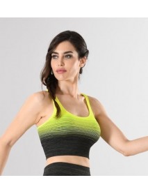 Miss Fit Athlete Bustier Knitted Seamless Seamless Yoga Fitness Pilates Miss Fit 11177